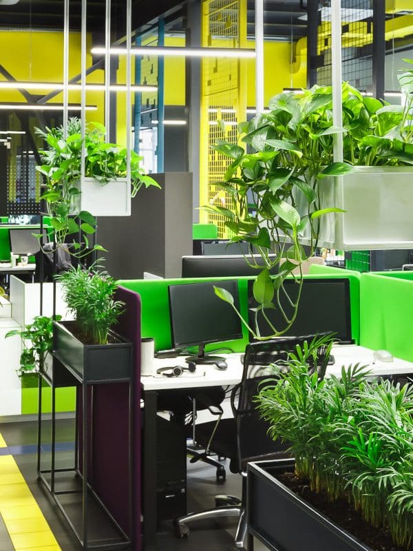 bureau vert